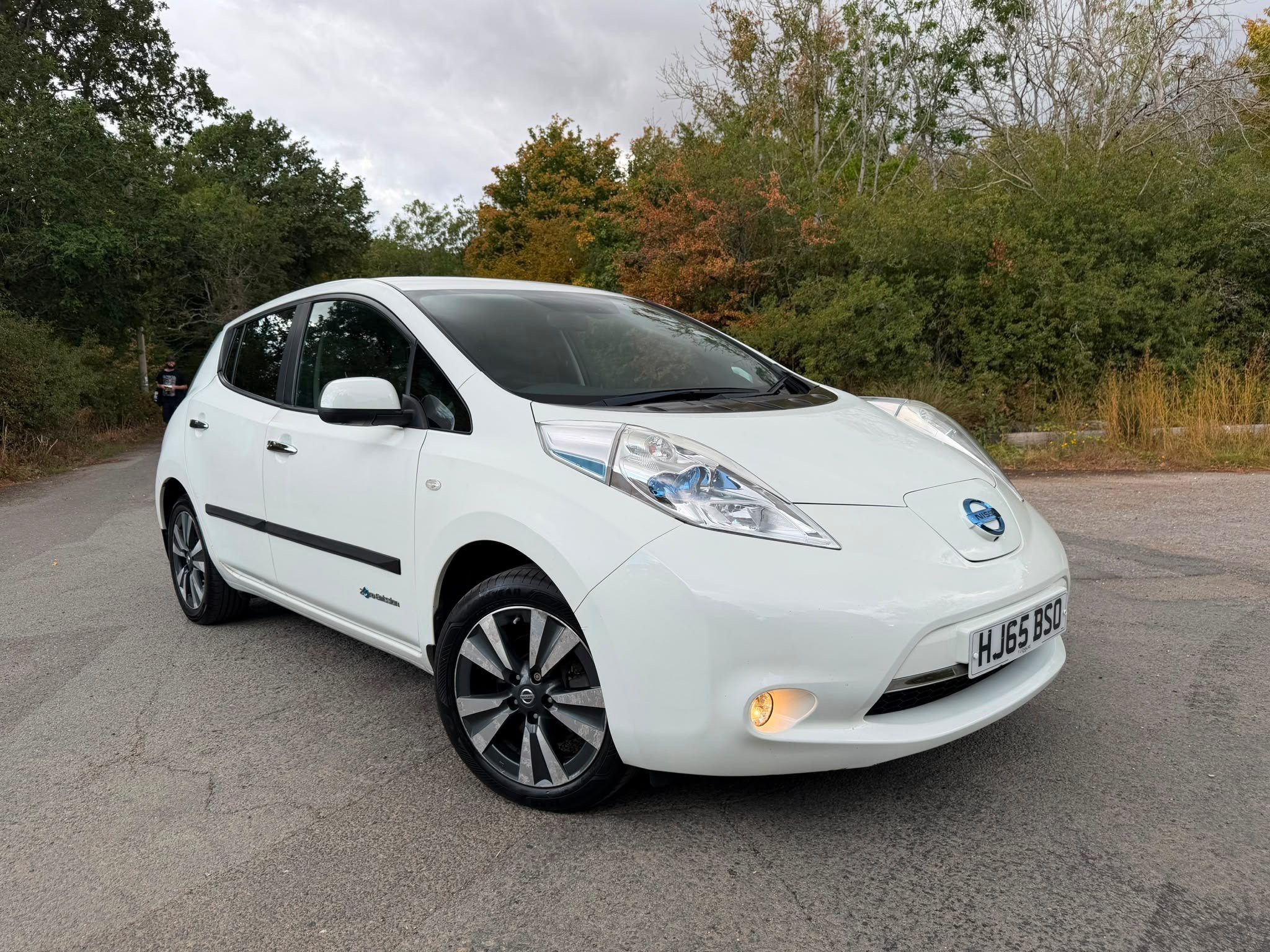 2015 NISSAN LEAF